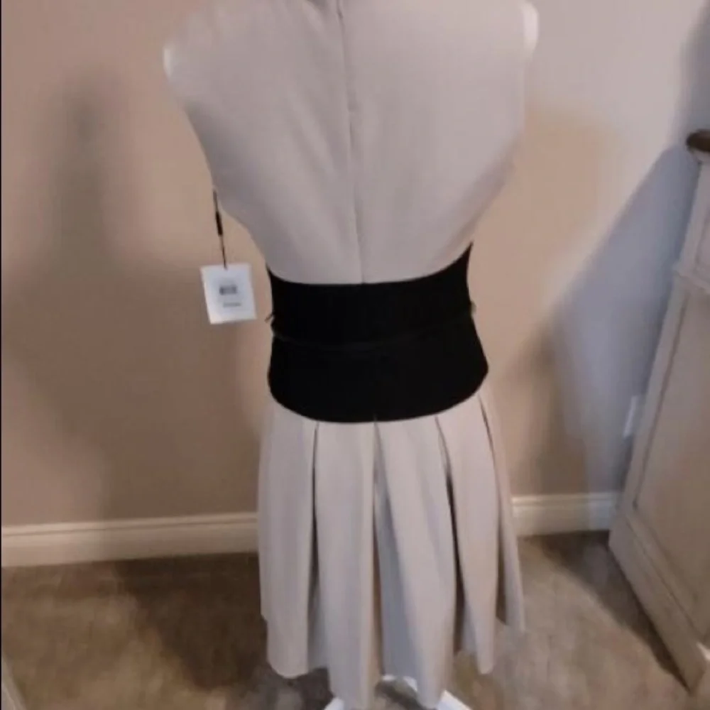 NWT Calvin Klein, size 4 , dress. - Picture 4 of 9